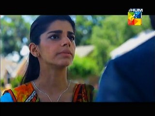 Firaaq Episode 13 Full on Hum Tv - November 29