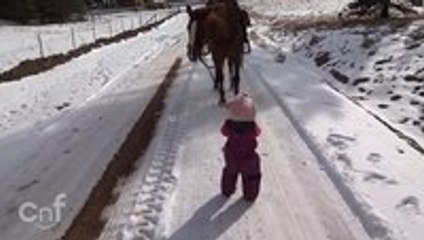 Little girl and her horse Cinnamon