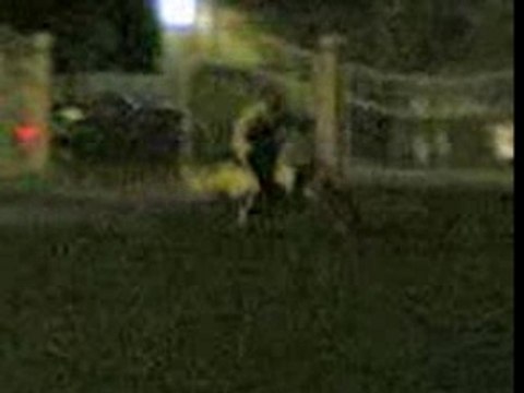 zup 59 bourgogne 125 yz