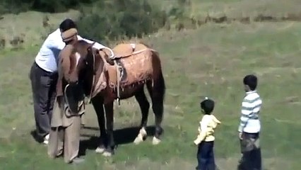 jumping horse but still fail - Dail FuNn