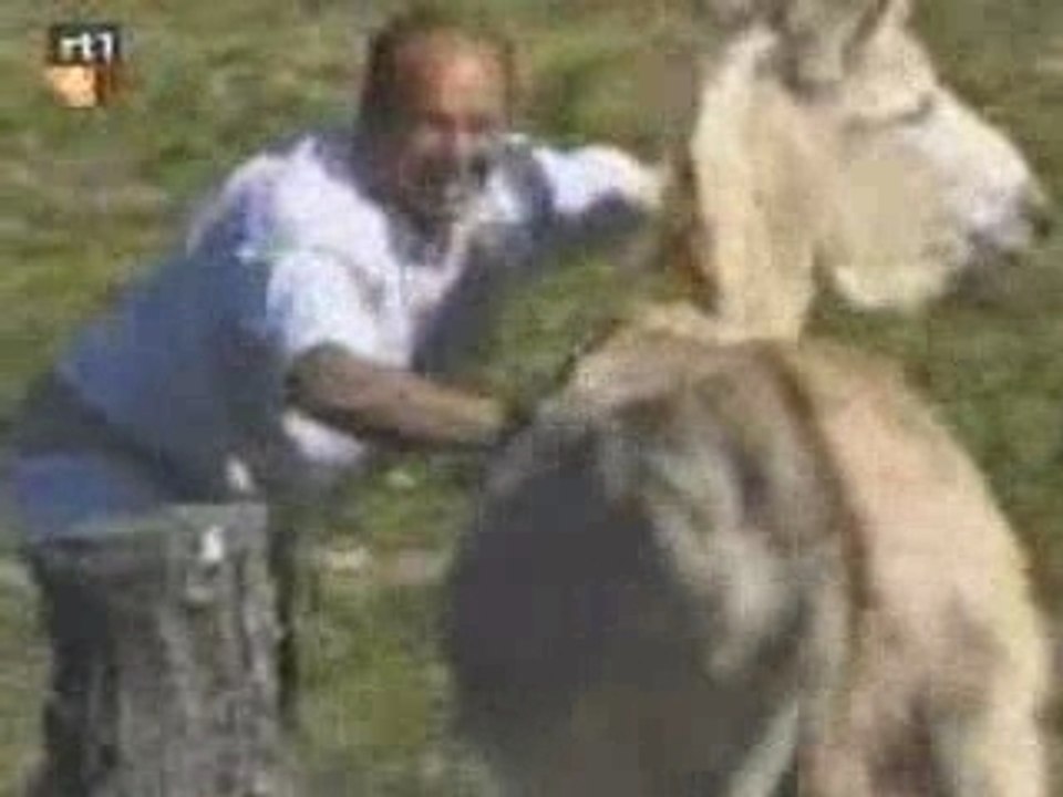 Aatkorouh