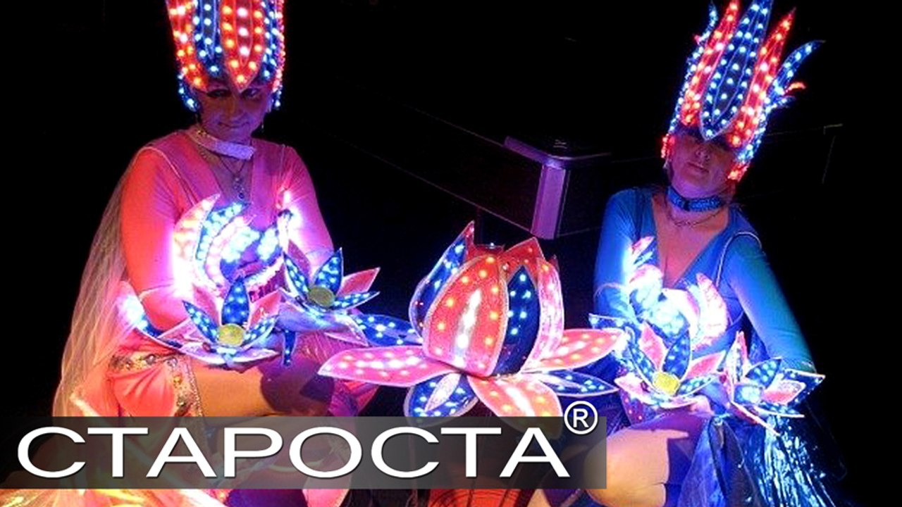 Световое шоу "Пламя и мотылёк" от Fire Lotos