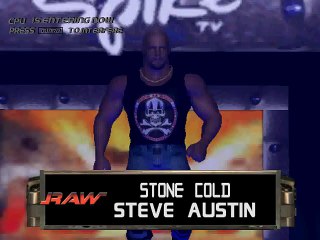 hogan vs steve austin