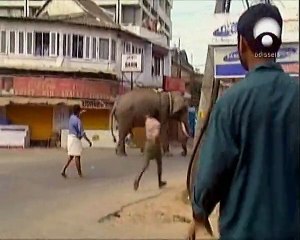 A Furia Dos Elefantes - Odisseia