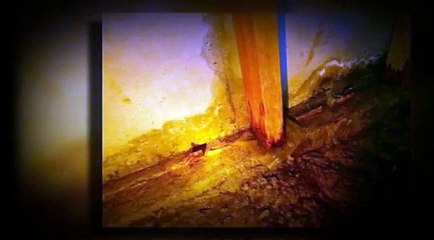 Why Do You Need Home Inspectors Dayton Ohio?