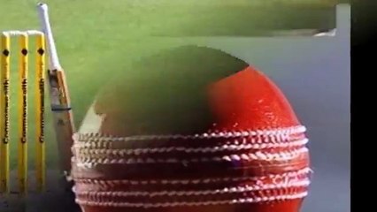 Cricket Umpire Dies In Israel After Struck By Ball On Face