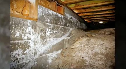 Home Inspectors Orlando Save You Money