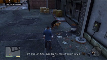 Dynamic Peanut Highlights | GTA V: DOG SEX