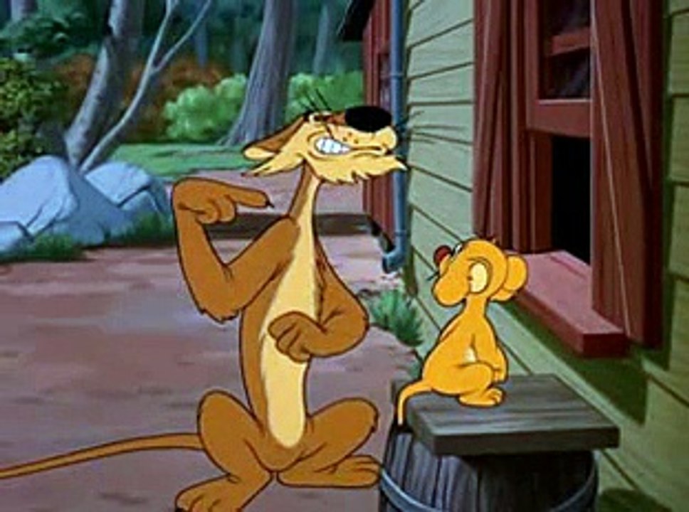 Hook Lion and Sinker - Donald Duck