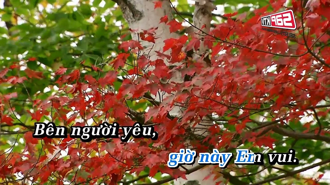 Ke Trang Tay - Duong Ngoc Thai