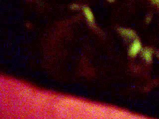 De leurres... (suite)