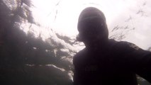 Arquipélago da Almada, navegação, mergulho submarino, Marcelo Ambrogi, Ubatuba, SP, Brasil, peixes raros, corais, (29)