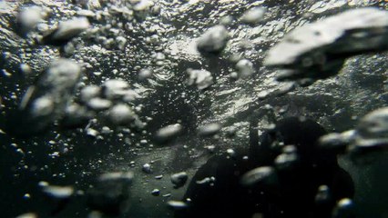 Arquipélago da Almada, navegação, mergulho submarino, Marcelo Ambrogi, Ubatuba, SP, Brasil, peixes raros, corais, (34)