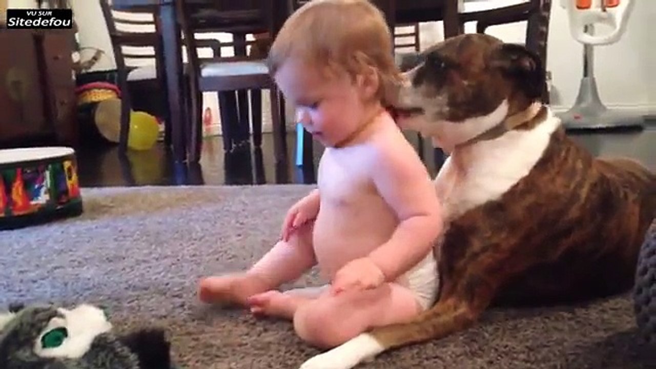 Dog and Baby Cute Bath