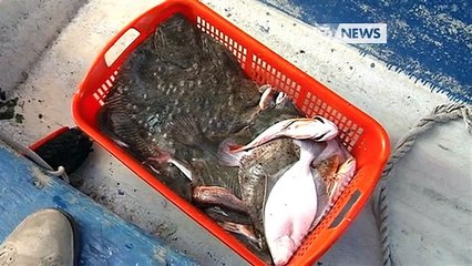 PESCA: UN COMPARTO IN CRISI