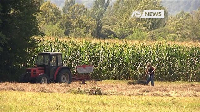 IMU SU TERRENI AGRICOLI, SINDACI COL LUTTO AL BRACCIO