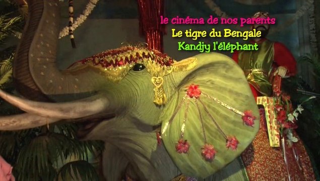 Ciné Art Loisir Le monde enchanté de la ferme aux mille lumières 2014 JC Guerguy