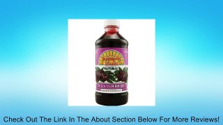 Dynamic Health Black Elderberry Liquid Concentrate - 8 fl oz Review