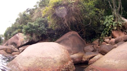 Arquipélago da Almada, navegação, mergulho submarino, Marcelo Ambrogi, Ubatuba, SP, Brasil, peixes raros, corais, (57)