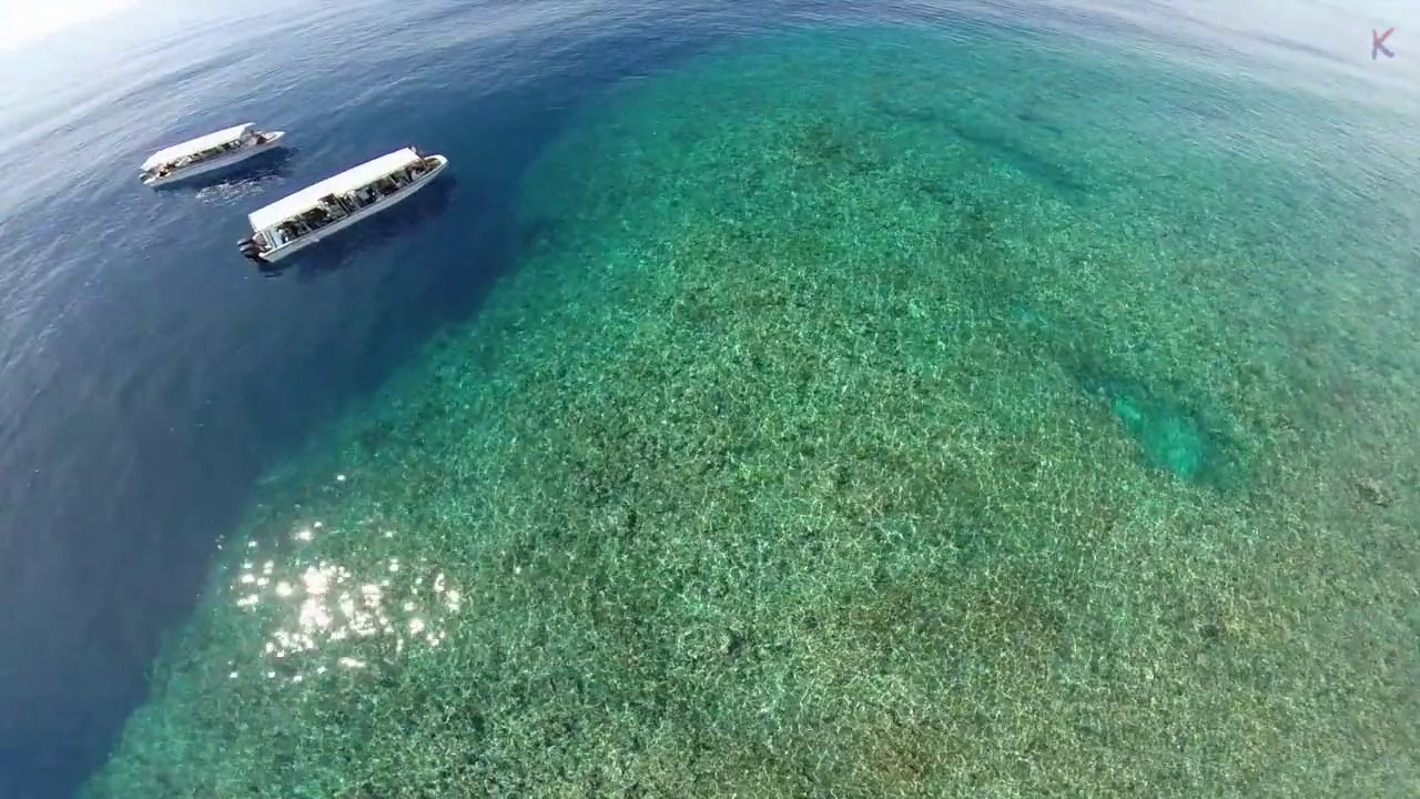 Team 5-ZERO - Palau Trip 2014