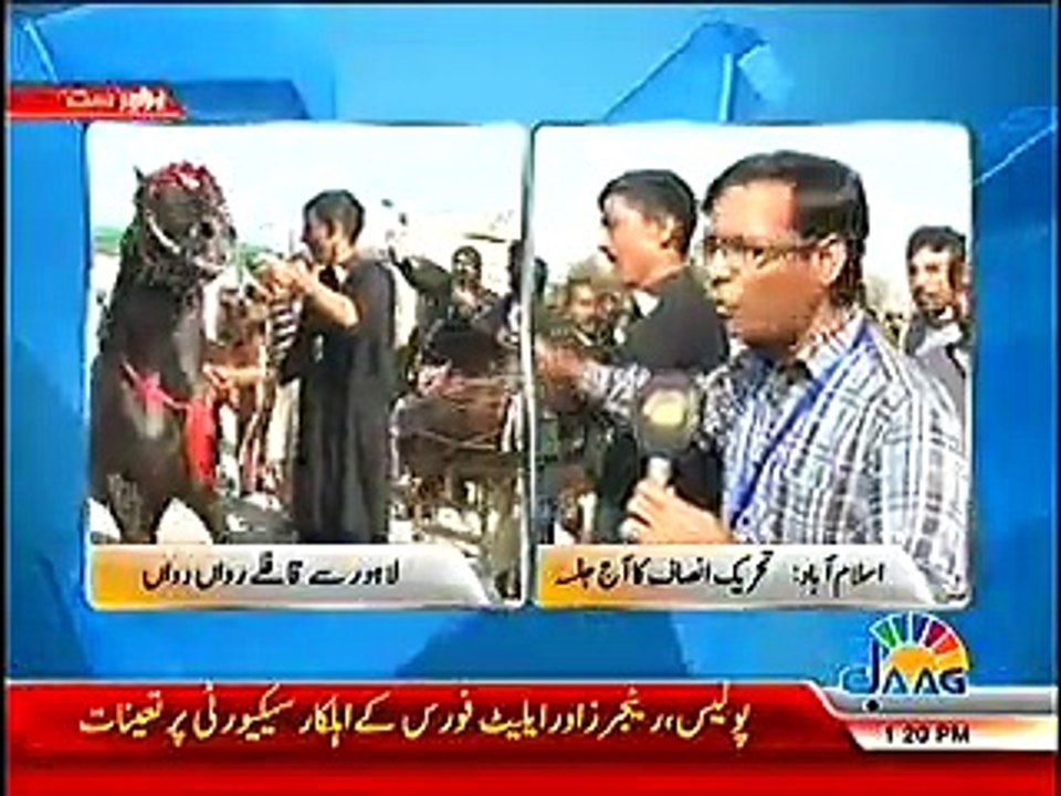 Hourse dance for PTI Support