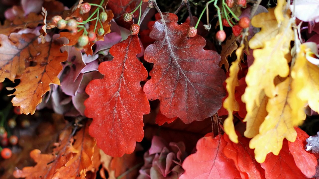 Autumn Colour Palette