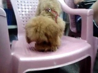 video-2013-08-05-19-09-36.mp4