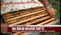 Anzer Balı