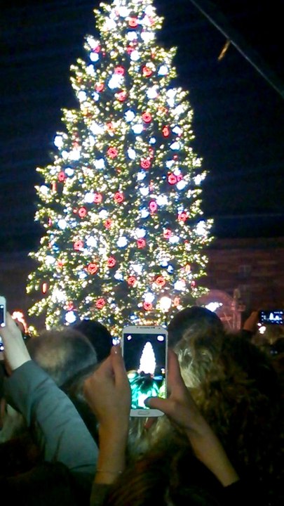 Illumination du Grand Sapin de Noël de Strasbourg 2014