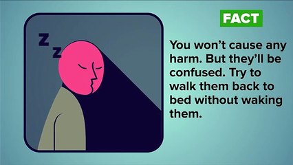 12 Lies Everyone Accepts As Fact