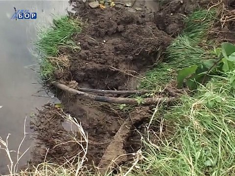 Plan za javna preduzeća, 30. novembar 2014. (RTV Bor)