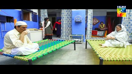 Digest Writer Episode 9 Hum Tv HD Full Dailymotion Episode 30th November 2014