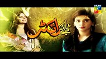 Digest Writer Episode 10 Hum Tv Drama 5th December 2014 Promo