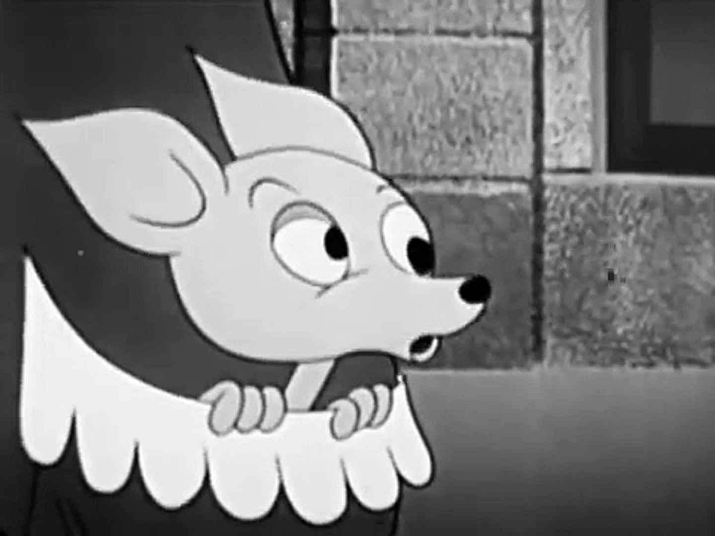 ⁣The Kangaroo Kid Cartoon