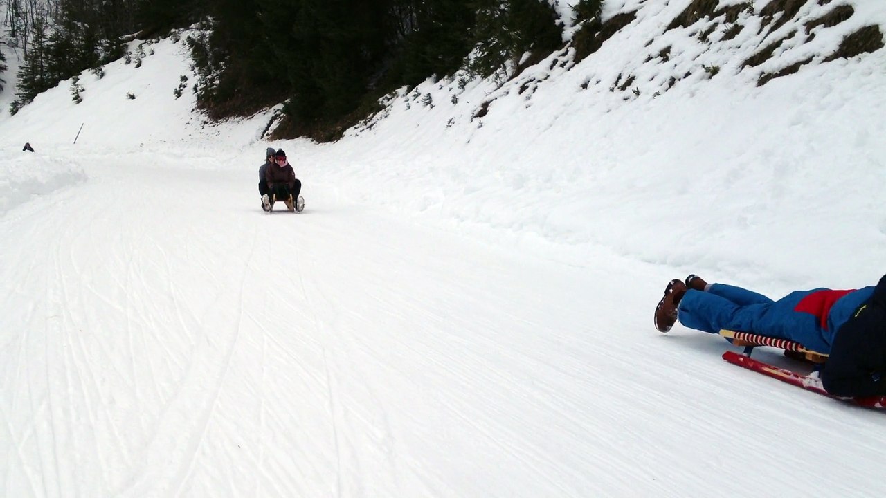 Luge aux Diablerets (2)