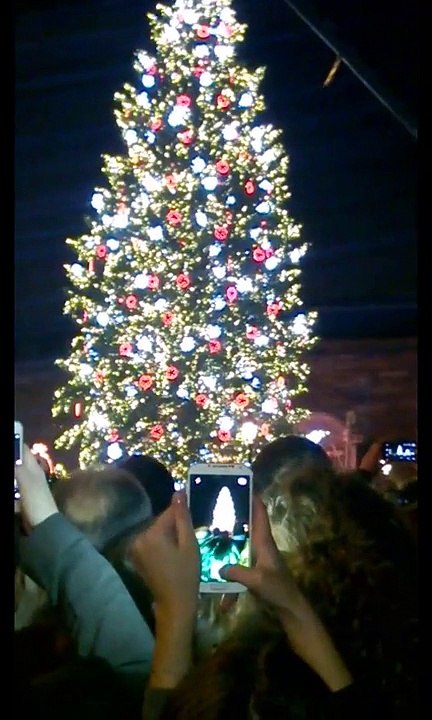 Illumination du Grand Sapin de Noël Strasbourg 2014