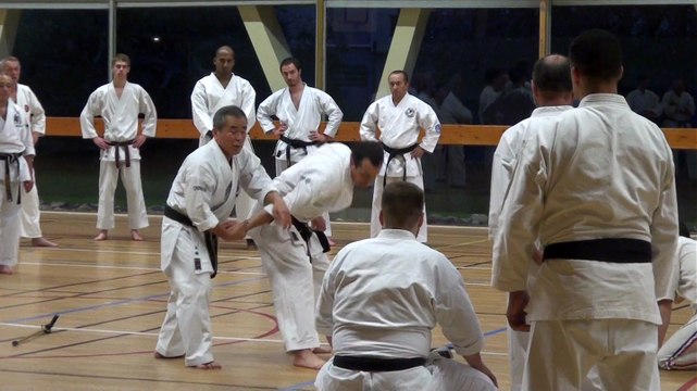 Stage avec Oshiro Senseï, nov.2014