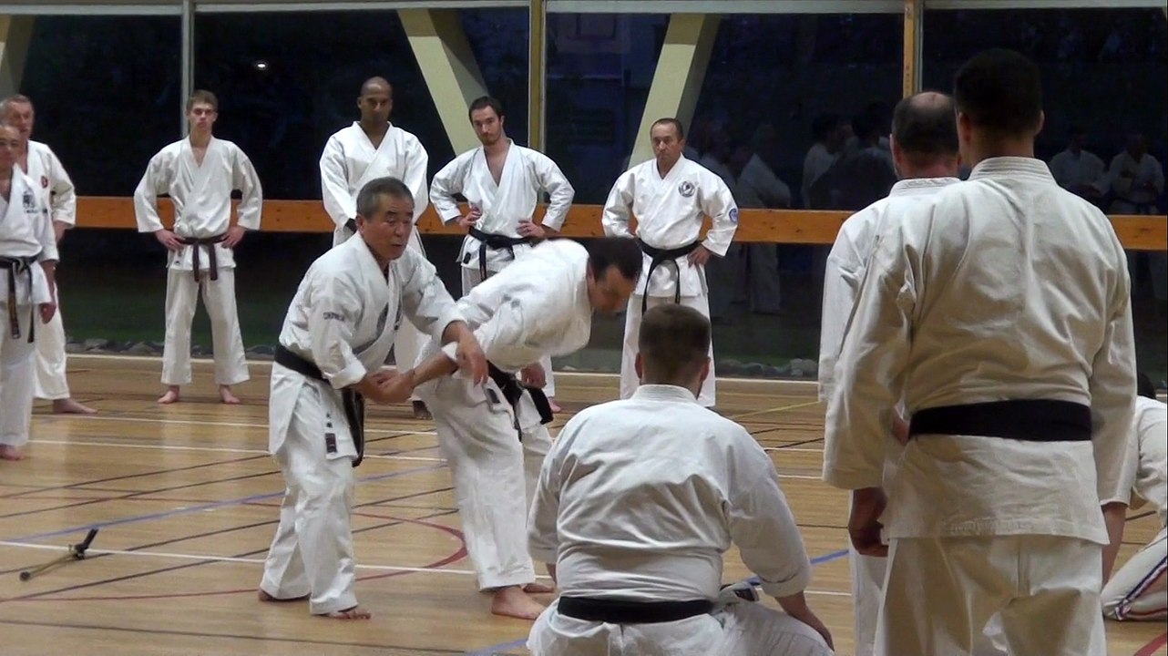 Stage avec Oshiro Senseï, nov.2014