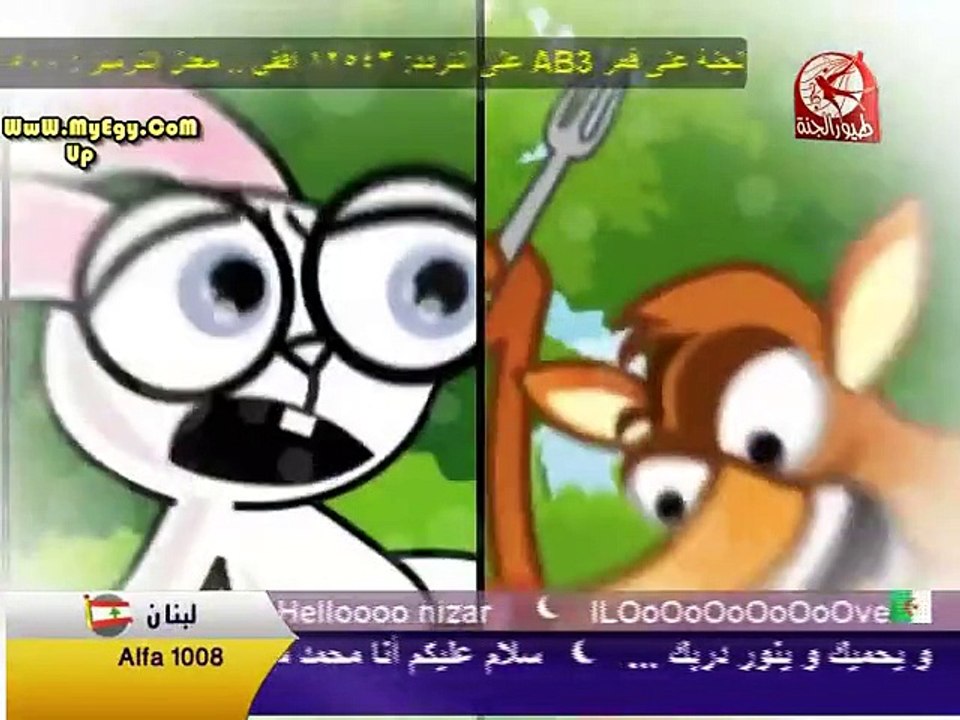 الارانب