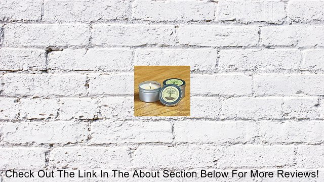 Aromatherapy Fragances Hand-poured Soy Candle 2 Oz in the Mood Blend of Vanilla, Brown Sugar and Nutmeg to Spice up Your Nights! Fill Your Home with Soothing Fragances! What Makes Our Eco-friendly Soy Candles Better for Your Environment! Great for Relaxin