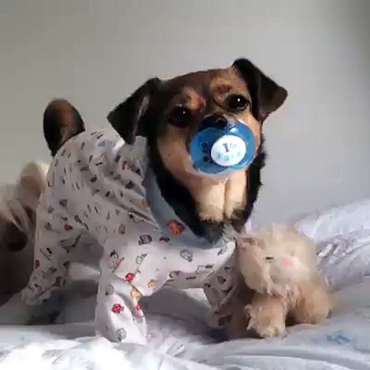 Lullaby and goodnight, Lilly