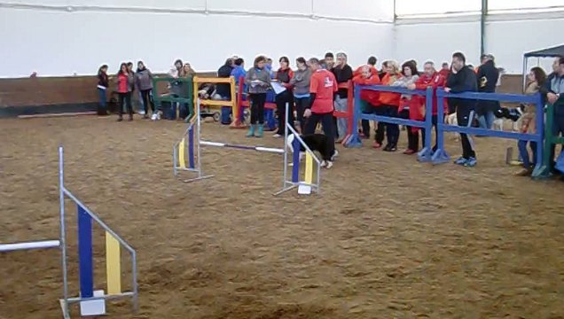 Jorge & Daxa - JUMPING - III COPA FAA [30-11-2014 Castrillón - Asturias]