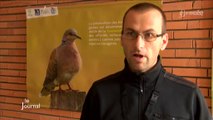 6e rencontre des naturalistes : Interview d’Olivier Lambert