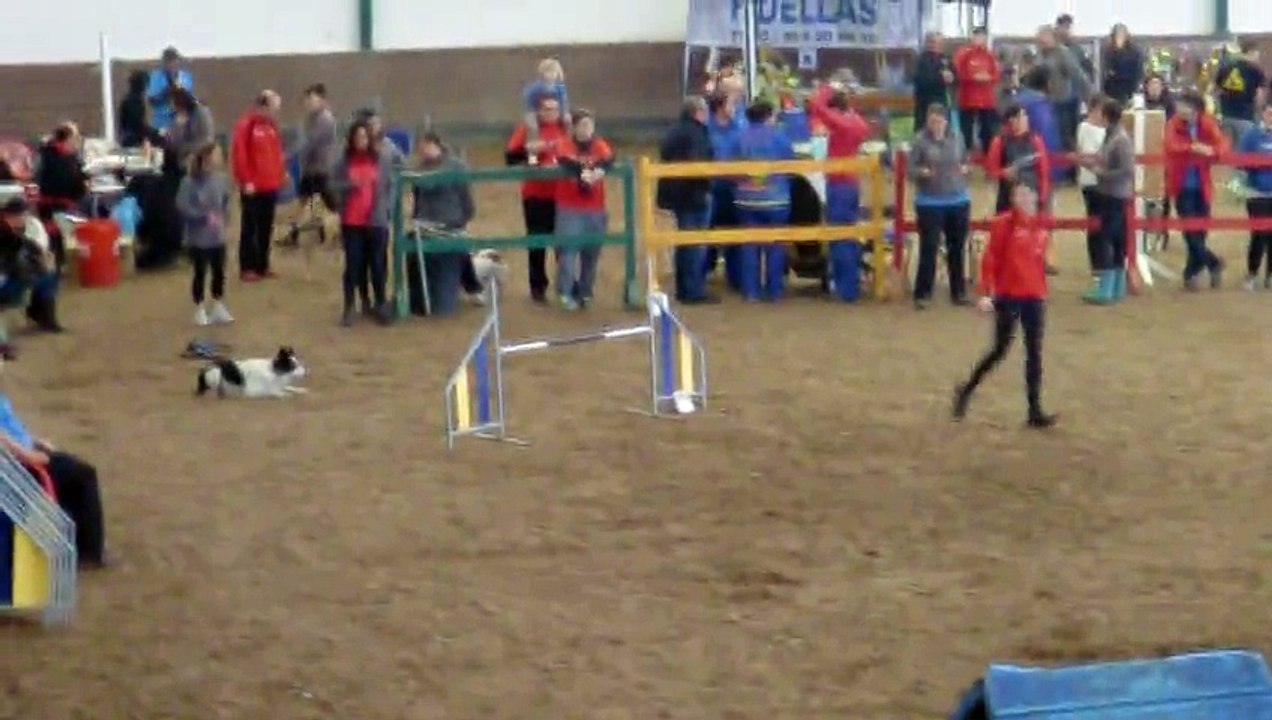 Lucia & Baxter - AGILITY - III COPA FAA [30-11-2014 Castrillón - Asturias]