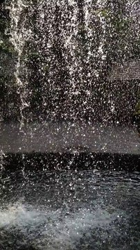 Cascade au jardin botanique de Singapour