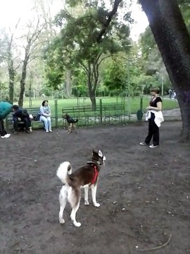 Curatenie Blocuri-0724/682/275/