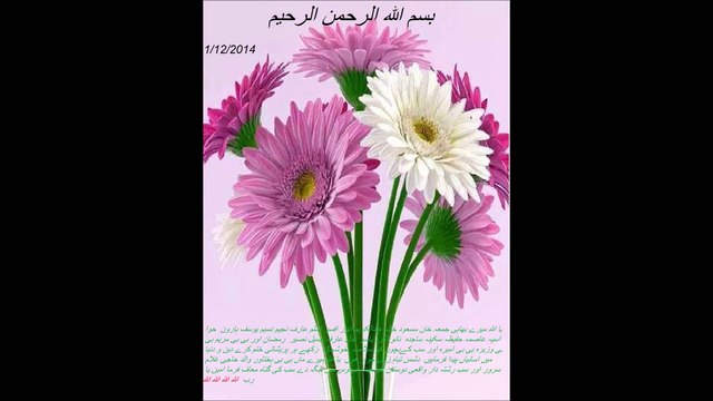 1 SURAT YASEEN Sudais 2 SURAT REHMAN Hani Ar Rifai