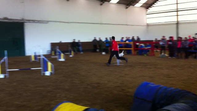 Mónica & Baffy - 2ª Manga GRADO 0 III COPA FAA [30-11-2014 Castrillón - Asturias]