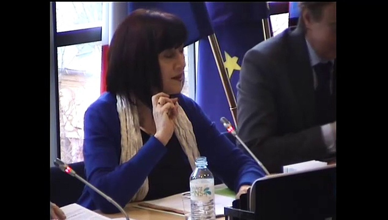 Directive relative aux concessions (rapport) - Mardi 4 Février 2014