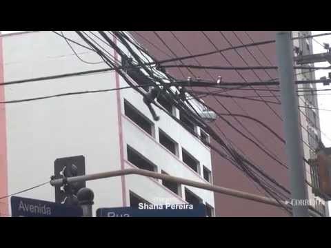 Sagui quebra rotina no Centro de Campinas